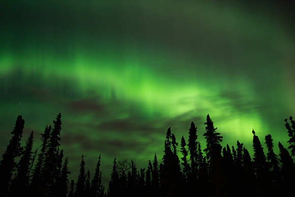 Northern Lights