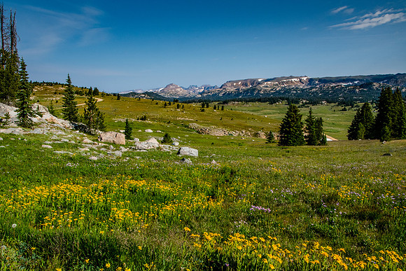 Beartooth Mountains