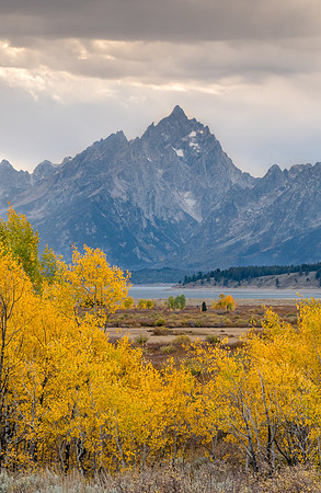 Willow Flats