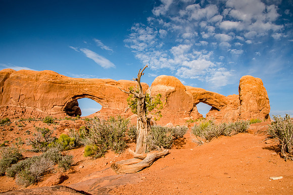 Arches National Park