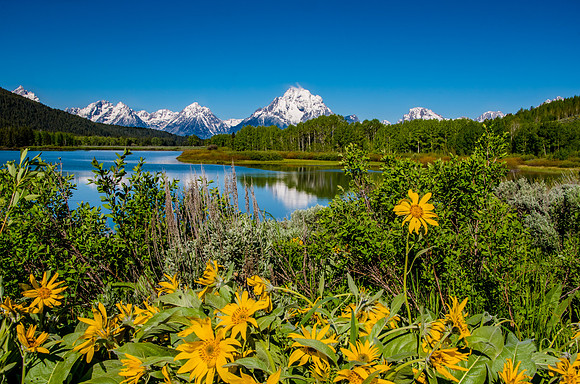 Oxbow Bend